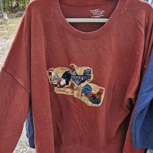 Time and Tru Deep Red Pullover 3x